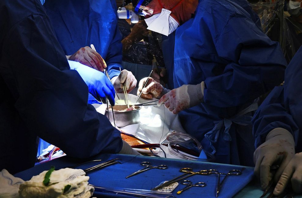 Einem schwerkranken Amerikaner ist ein Schweineherz implantiert worden.