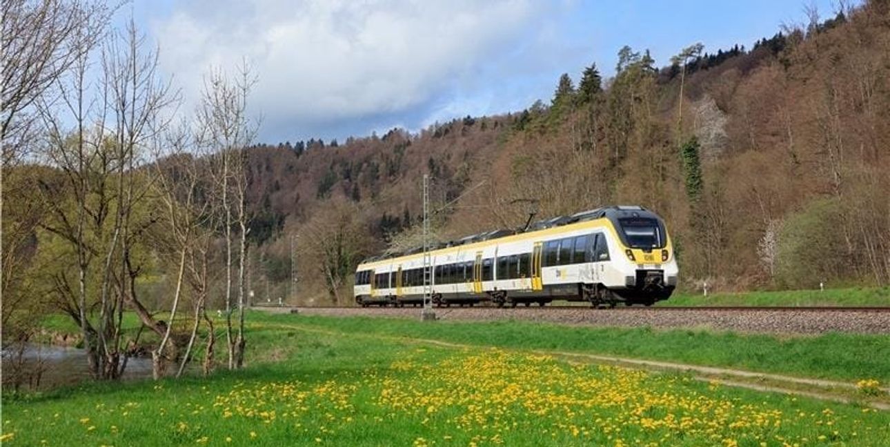 Die Nutzer der Gäubahn sind nach den zahlreichen Baustellen der vergangenen Jahre schon Kummer gewohnt.