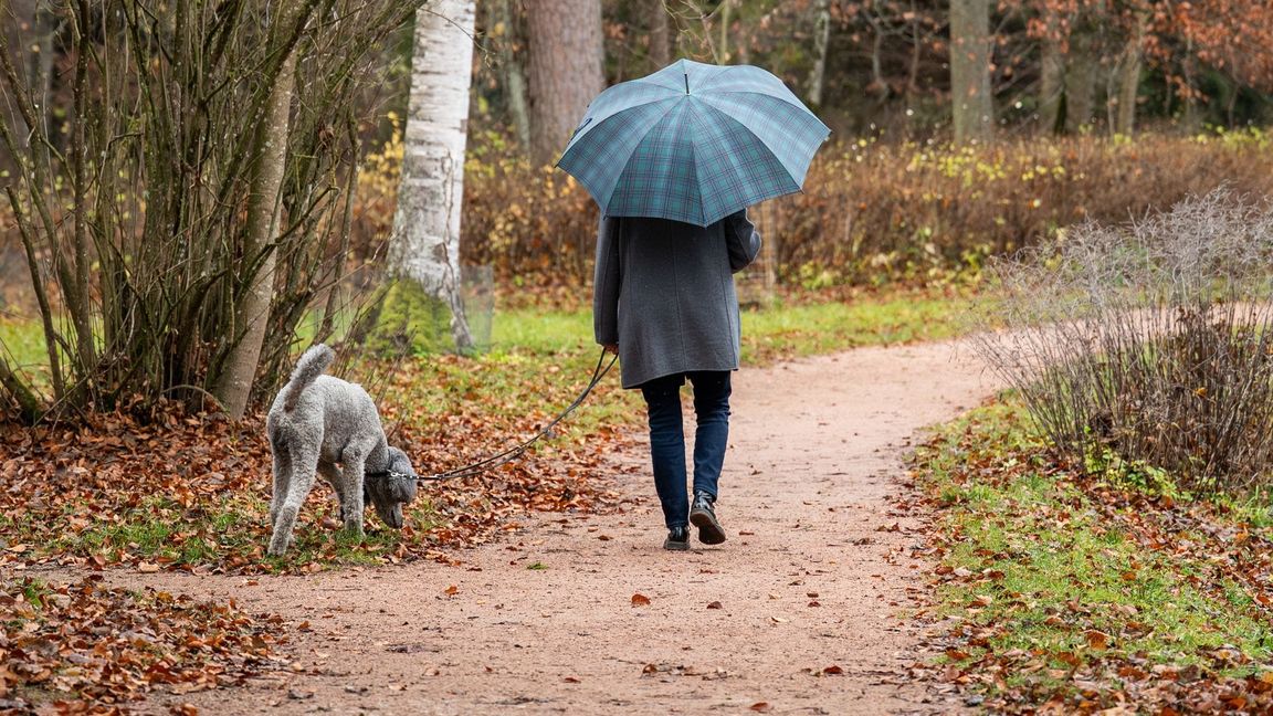 Weniger Stress steht auch weit oben bei den Plänen für das kommende Jahr. (Symbolbild)