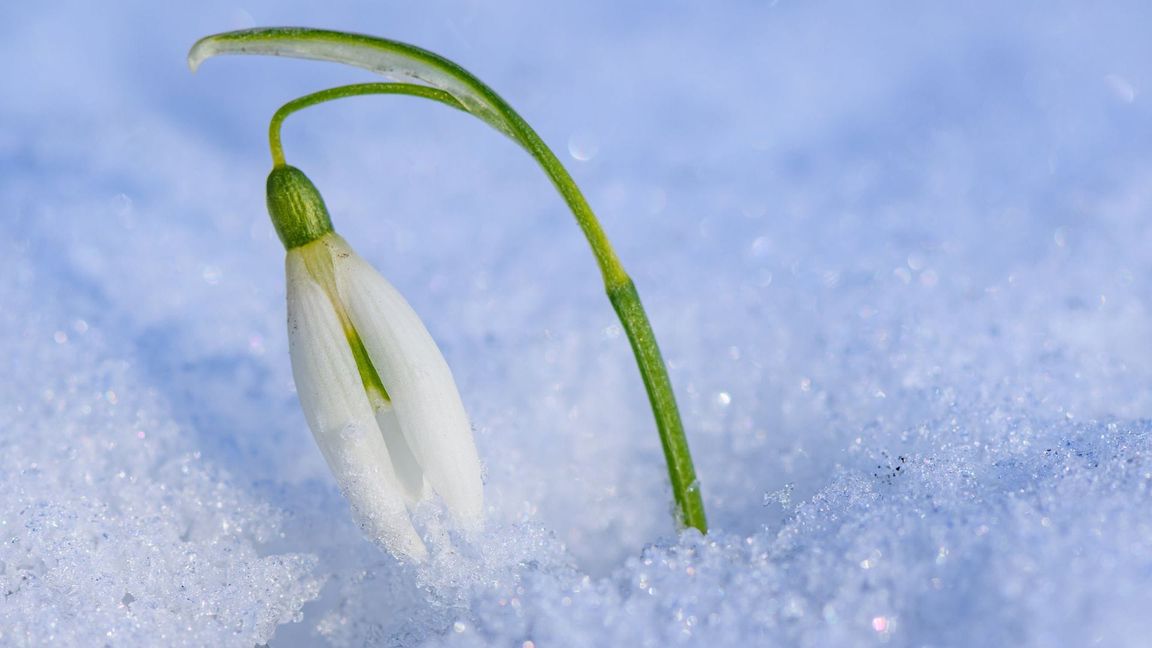 Es kann an manchen Orten im Südwesten auch wieder schneien.