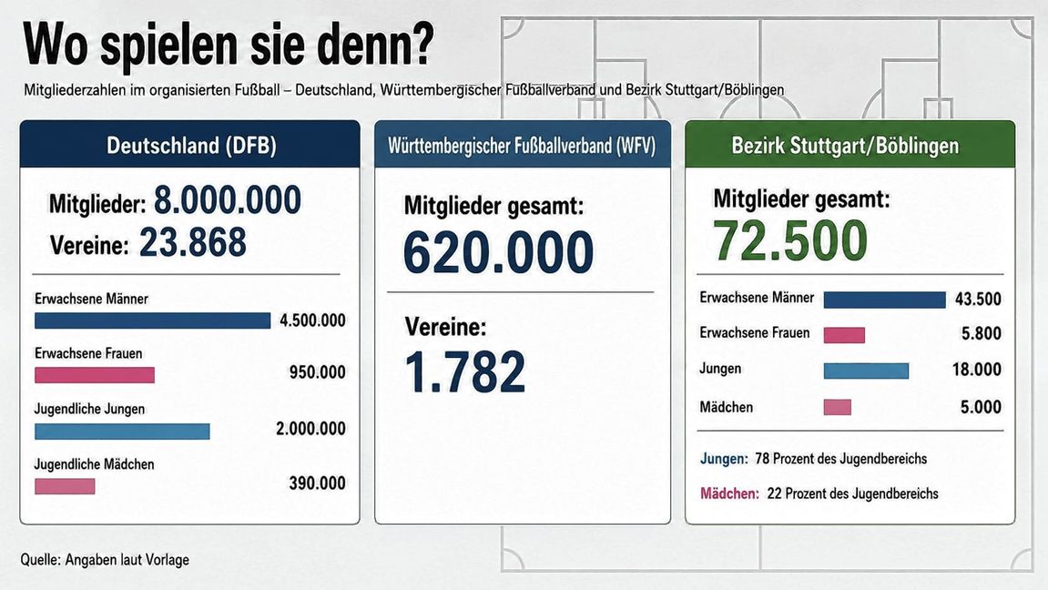 Grundlage für die Grafik sind Zahlen des DFB und WFV.