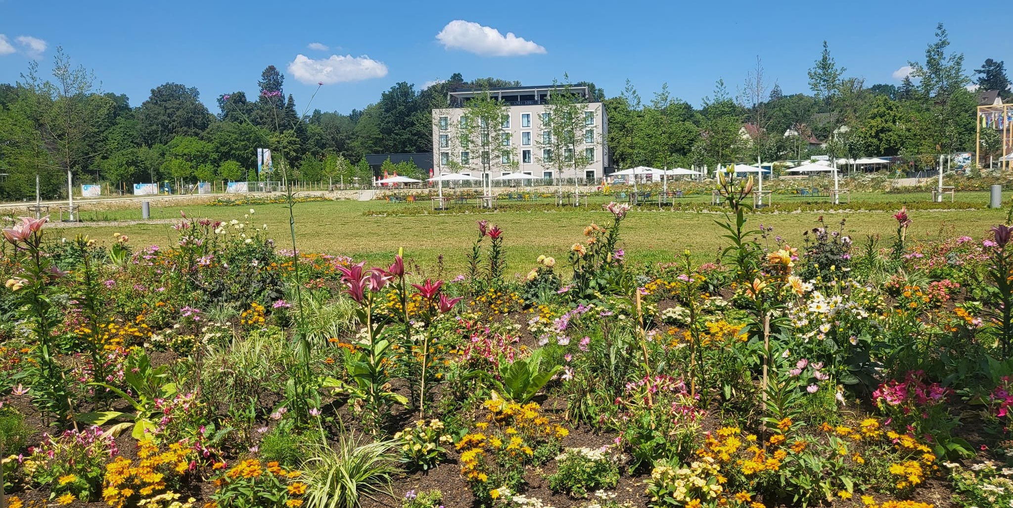 Auch bunte Blumenbeete prägen das Bild der Landesgartenschau. Im Hintergrund ist das neu errichtete Hotel zu sehen.