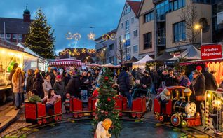 Die kleine Eisenbahn war der Liebling bei den jungen Passagieren.