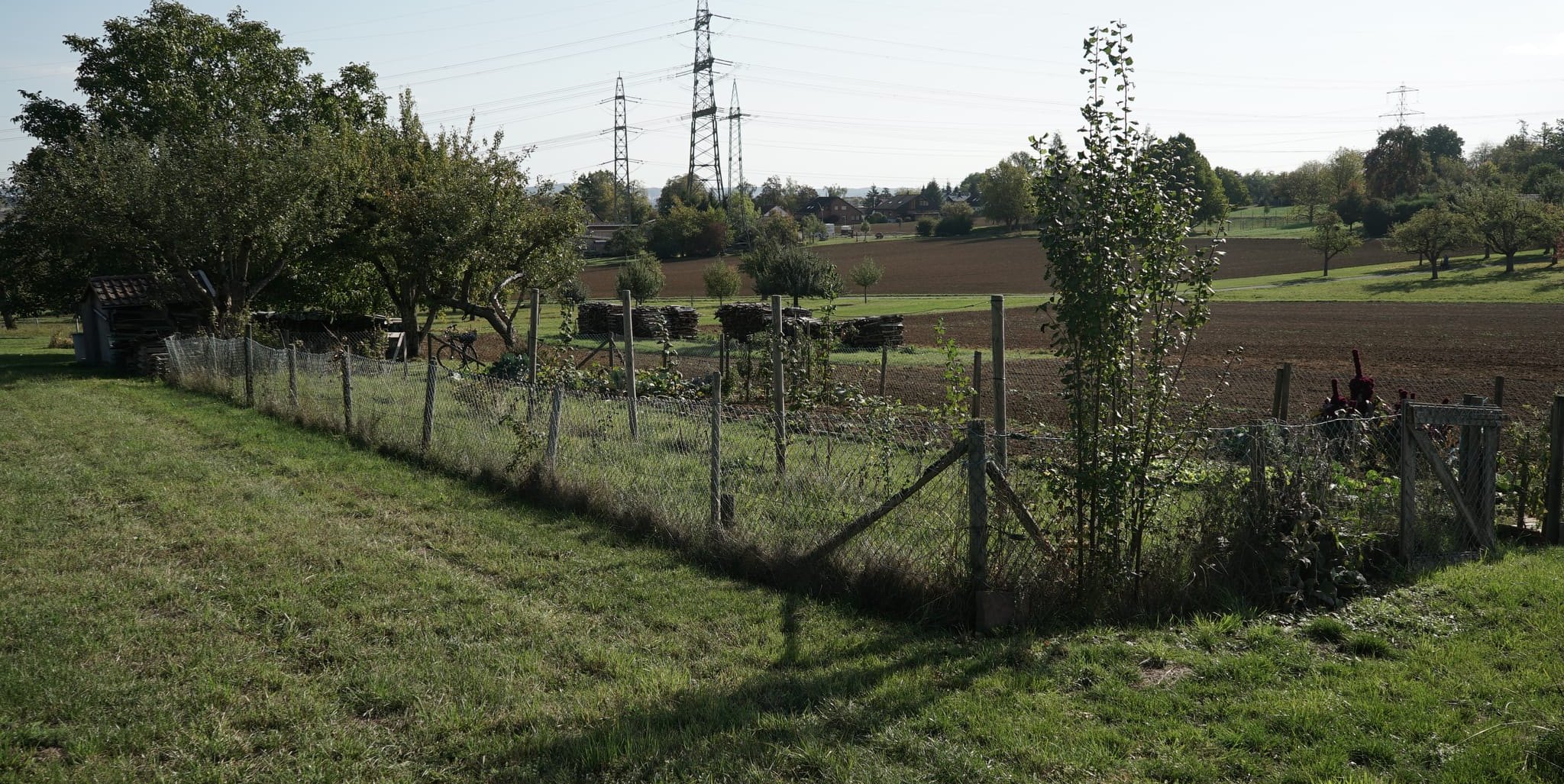 Landschaftsschutzgebiet Darmsheim