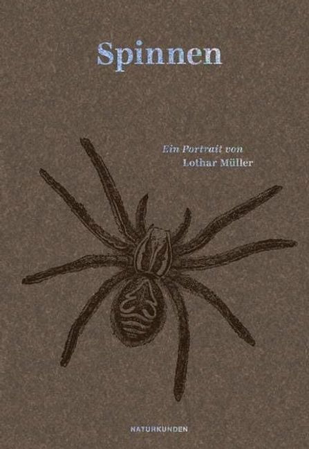 Lothar Müller: Spinnen