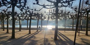 Wie lässt sich der Alltag bei steigenden Temperaturen besser bewältigen? Beim Hitzeaktionstag im „Treff am See“ gibt die Stadt Böblingen Tipps zum Schutz vor Extremhitze.