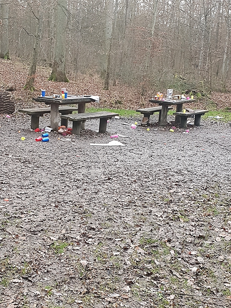 So sah es an Neujahr am Grillplatz im Eichholz aus. Bild: z