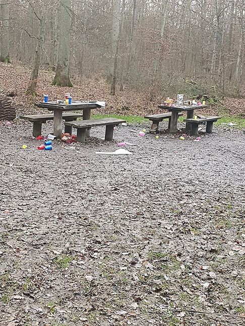 So sah es an Neujahr am Grillplatz im Eichholz aus. Bild: z