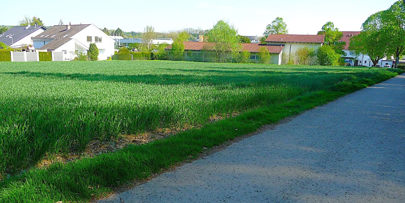Auf dem Acker zwischen den westlichen Häusern des Stützwegs (links), dem Vereinsheim des Magstadter Roten Kreuzes und dem Friedhof (rechts neben dem Sträßchen, nicht mehr im Bild) soll ein Pflegeheim mit 60 Plätzen für die stantionäre Pflege errichtet werden.