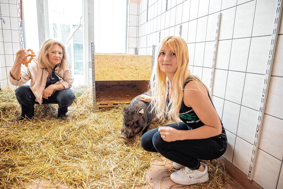 Elke Hundler, stellvertretende Vorsitzende des Vereins, und Tierschutzheimleiterin Vanessa Königseder ist Schwein Freddy richtig ans Herz gewachsen.