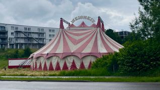 In der großen Gasse 104 hat der Zirkus sein Zelt aufgeschlagen.