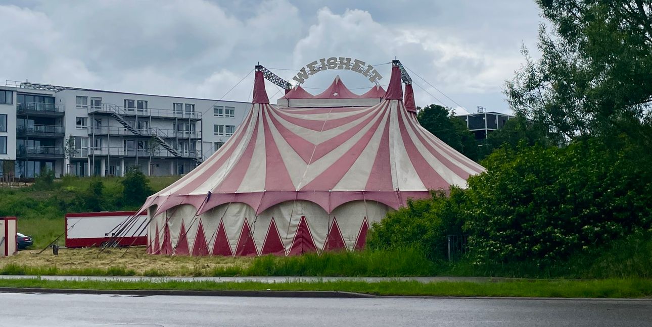 In der großen Gasse 104 hat der Zirkus sein Zelt aufgeschlagen.