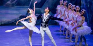 Werden sie jemals glücklich sein? Prinz Siegfried und Prinzessin Odette.