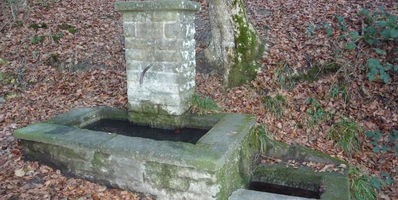 Der Schwabentreuebrunnen auf Gemarkung Weil in Schönbuch, am Weg zwischen dem Parkplatz Weißer Stein und dem Rotwildgehege.