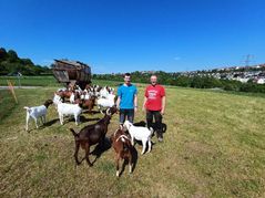 Robin Schmid (links) und sein Vater Georg Schmid mit den Ziegen, die sofort herbeigeeilt kommen, wenn der 26-Jährige die Tiere ruft. Bilder: Elbers