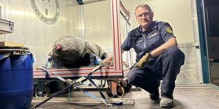 Gegen 23:15 Uhr gab der Kampfmittelbeseitigungsdienst Entwarnung. Die Bombe konnte erfolgreich entschärft werden.