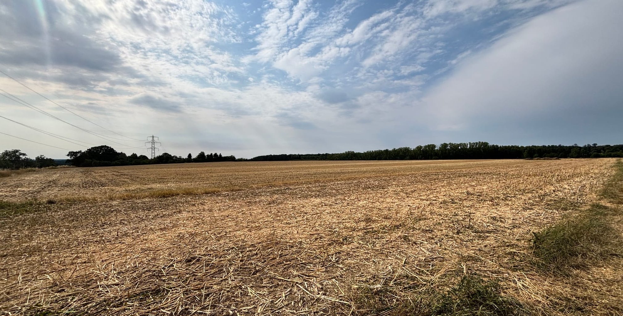 Der Weizen auf dem Feld des landwirtschaftlichen Betriebs der Familie Schmid in Holzgerlingen ist bereits abgeerntet.