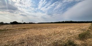 Der Weizen auf dem Feld des landwirtschaftlichen Betriebs der Familie Schmid in Holzgerlingen ist bereits abgeerntet.