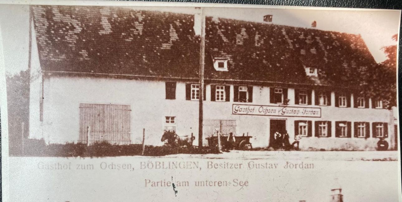 Der Ochsen