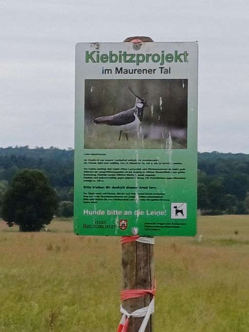 Das Kiebitz-Projekt ist erfolgreich.