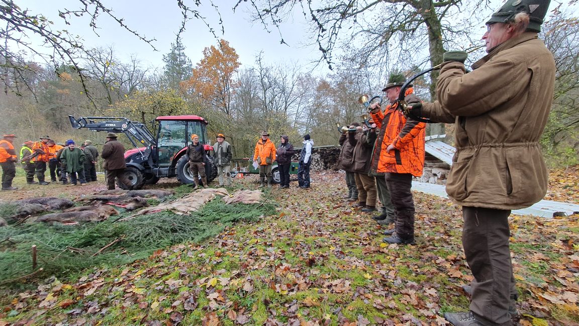 Jagdhornbläser an der so genannten Strecke.     Bild: Wegner
