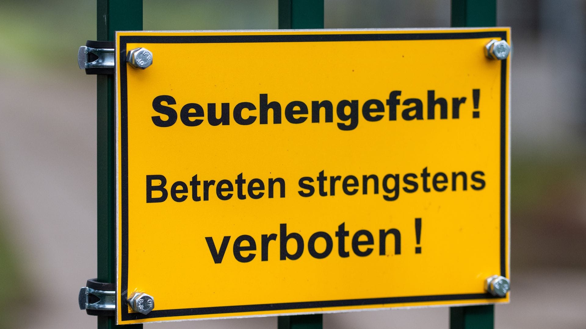 Die auch als Vogelgrippe bezeichnete Geflügelpest hat sich mittlerweile fast über ganz Deutschland ausgebreitet. (Archivbild)