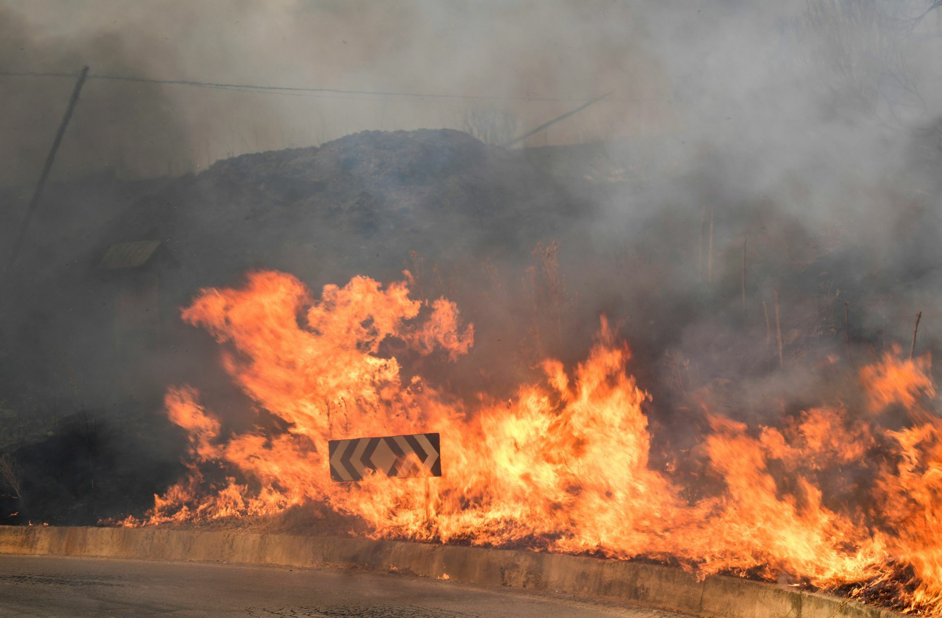 Flammen breiten sich ebenfalls in der Gemeinde Blufi   in Italien aus. Sizilien, Sardinien, Kalabrien und auch Mittelitalien wurden von Waldbränden schwer getroffen.
 Foto: AP