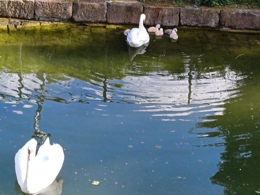 Hänsel (im Vordergrund) passt auf seine Familie auf.