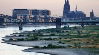Köln wählt am Sonntag einen neuen Oberbürgermeister bzw. eine neue Oberbürgermeisterin. (Archivbild)