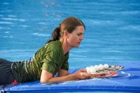 Stadtwerke Teamchallenge im Freibad
