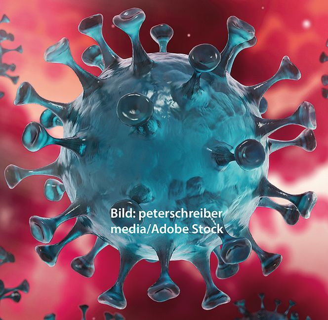 Bild: Adobe Stock/peterschreiber.media