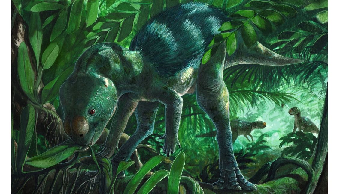 Künstlerische Darstellung des Mini-Dinosauriers Foskeia pelendonum. In Nordspanien haben Forscher Überreste dieser geradezu winzigen Dinosaurier entdeckt. Von der Schnauze bis zur Spitze seines langen Schwanzes messen die Mini-Dinos nur wenig mehr als einen halben Meter.