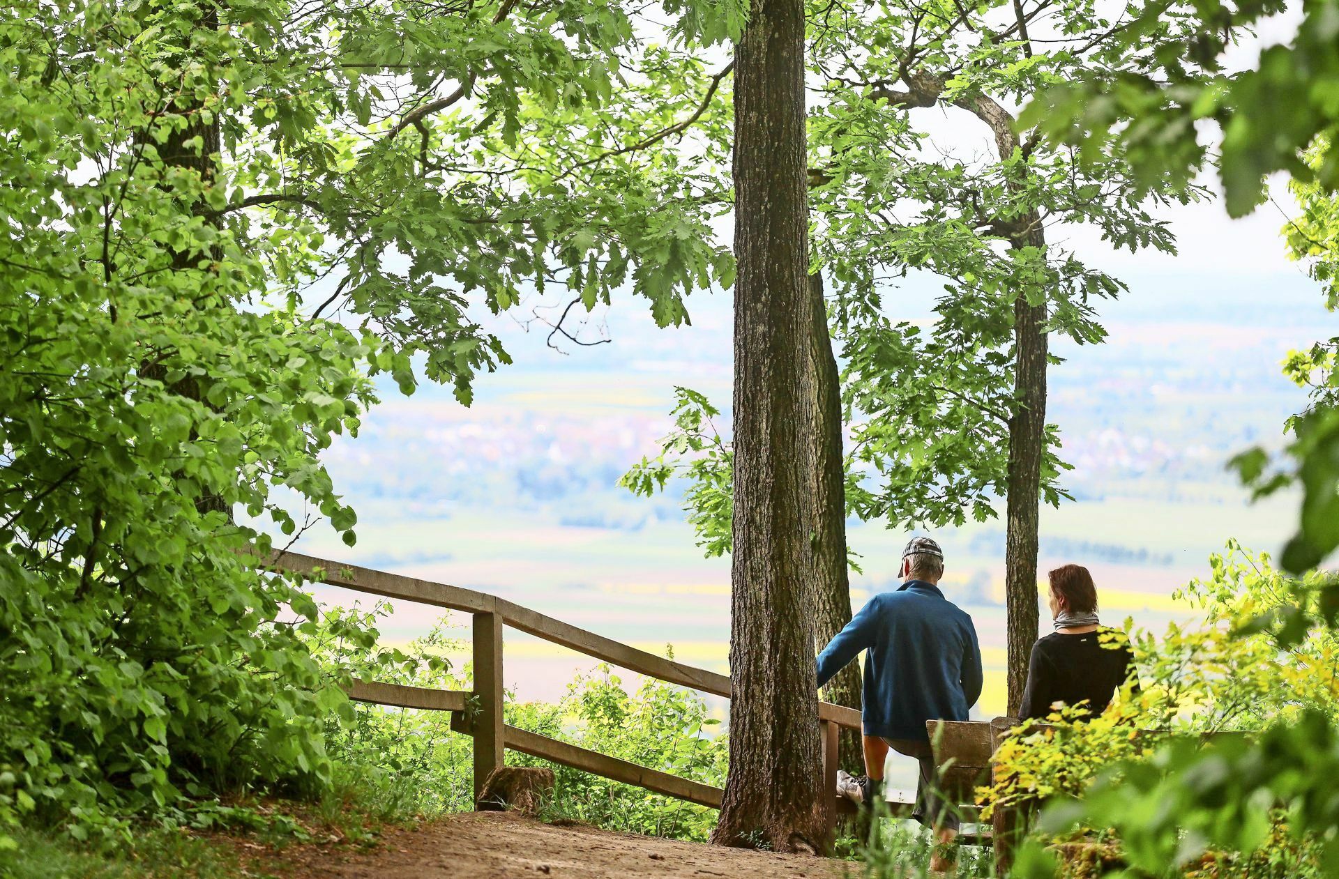 Schöne Aussichten: Der Naturpark Schönbuch wird 50. Bild: z