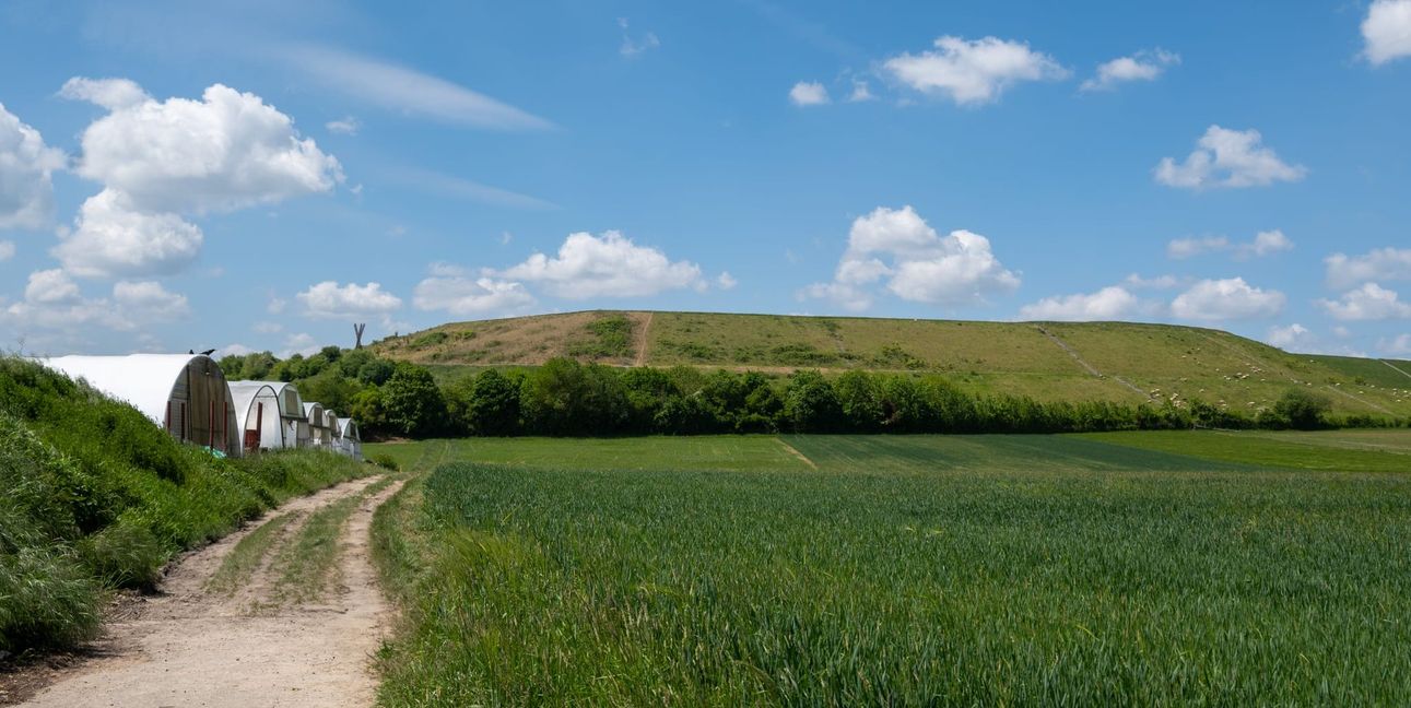 Auf der rekultivierten Fläche der Firma Baresel soll ein Solarpark entstehen.