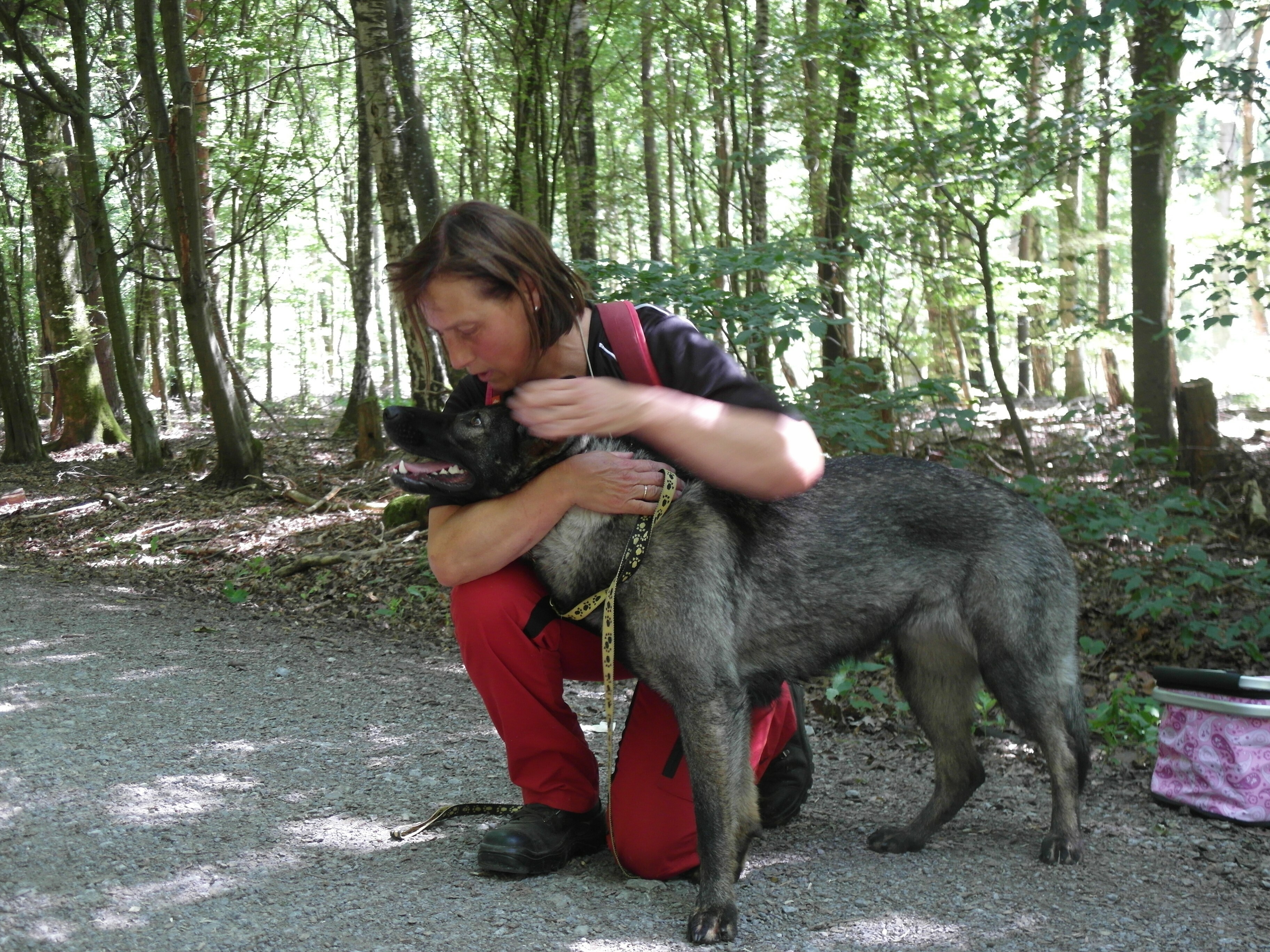 Noch ein bisschen üben muss die erste anderthalb Jahre alte "Asuka champ de cerise" mit ihrer Trainerin Brigitte Sautter von der Ortsgruppe Schönaich - denn diesmal hat es nicht geklappt in der Kategorie Flächensuche.