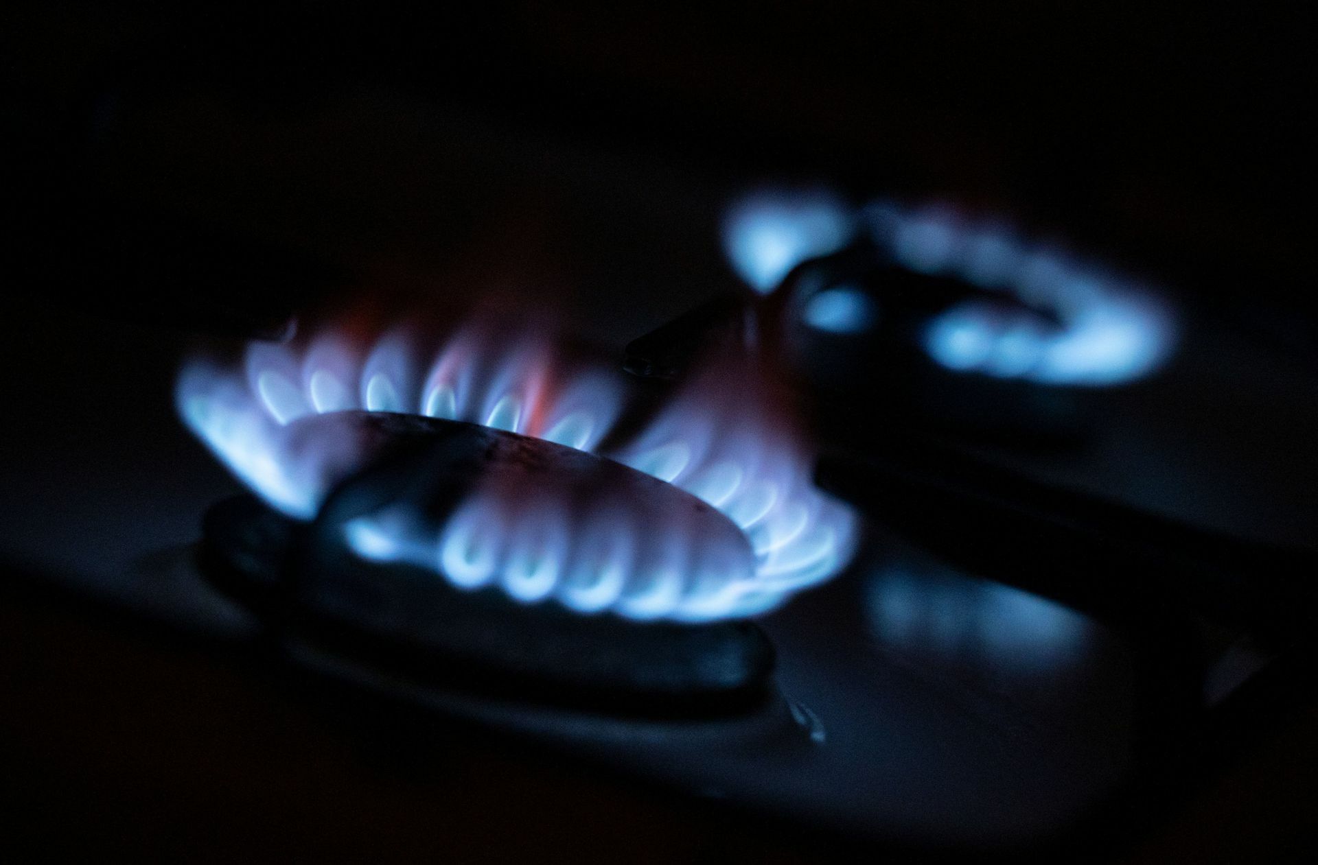 Auch Gas.de musste seinen Betrieb bereits einstellen.
 Foto: dpa/Marijan Murat