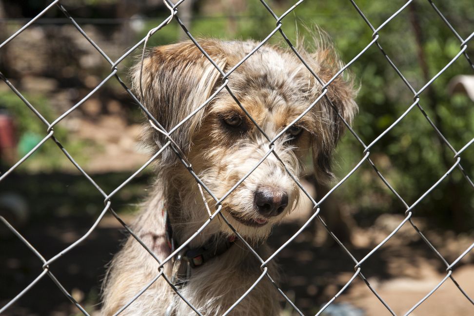 Bild: Michael Schindler / Fotolia