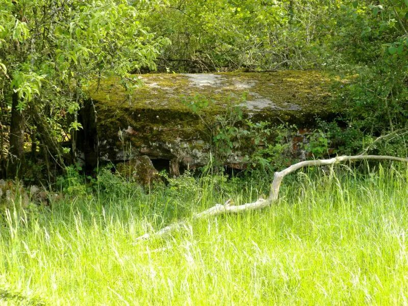 Ein gesprengter Bunker der Anlage auf dem Venusberg – er gehörte vermutlich zur Flak.