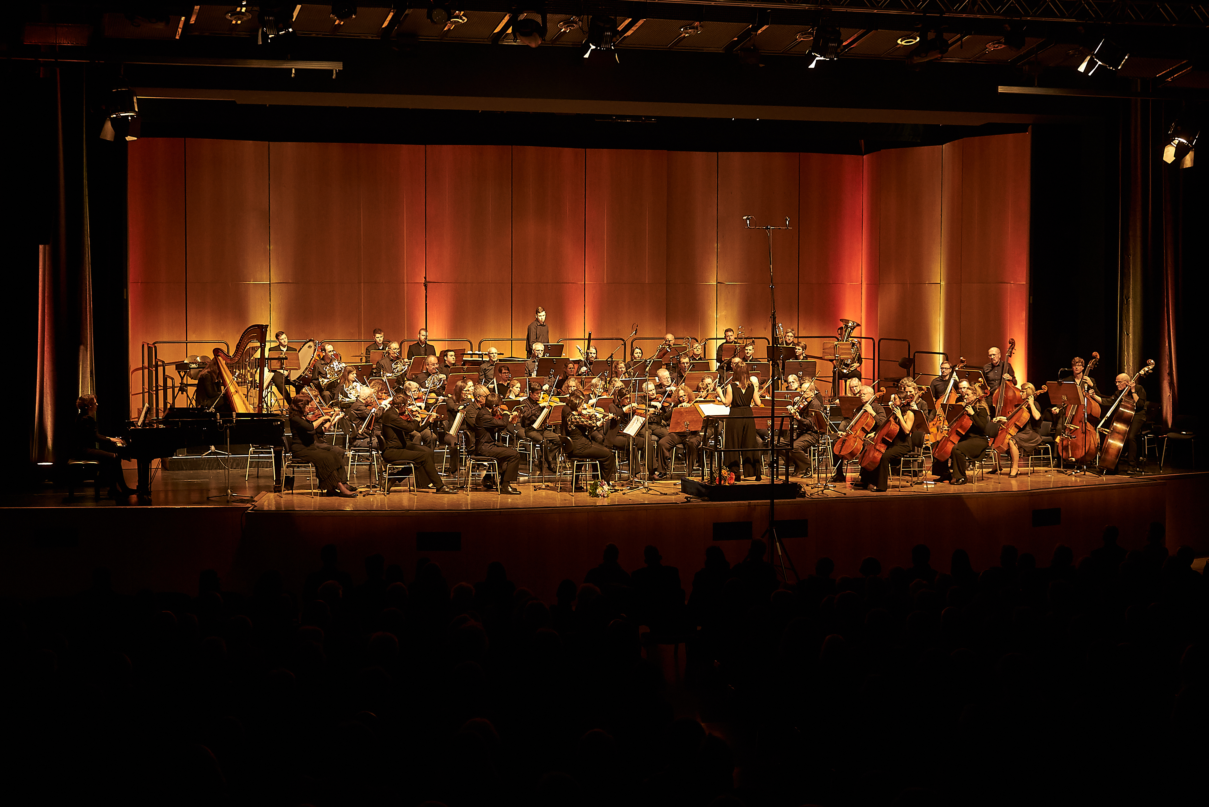 Das Sinfonieorchester Sindelfingen unter Leitung von Christina Krebs in der Stadthalle.     Heiden