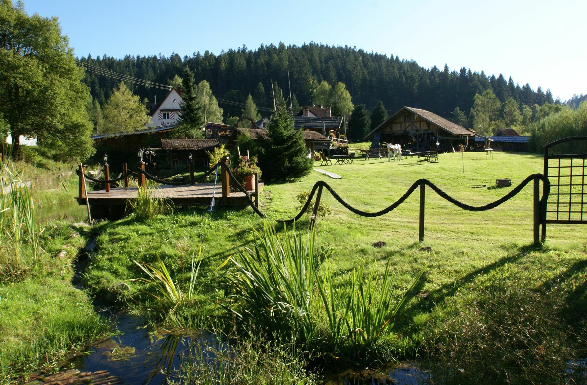 Zum Mühlengelände gehört auch eine große Wiese.
