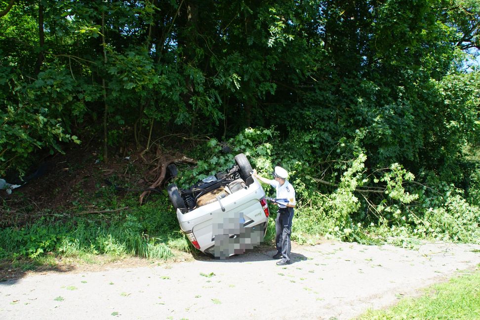 Bild: SDMG/Dettenmeyer