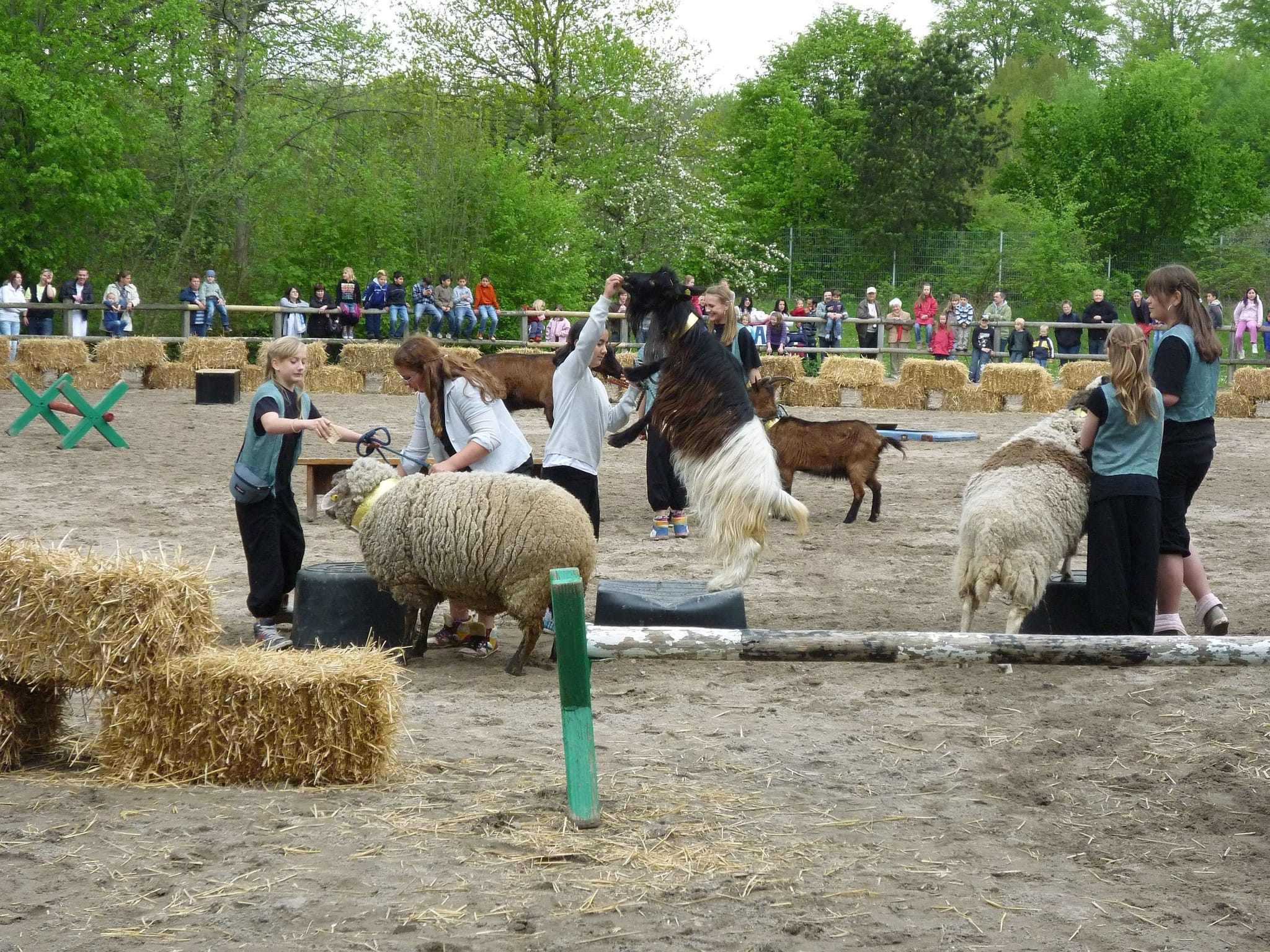 Die Jugendfarm Sindolino feiert ihr 50-Jähriges.
 Bild: Lück/Archiv
