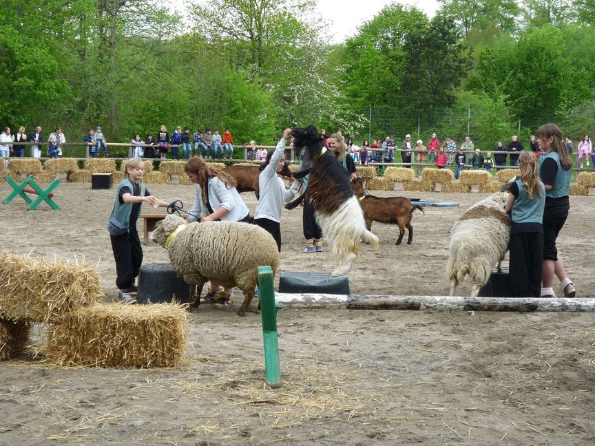 Die Jugendfarm Sindolino feiert ihr 50-Jähriges.
 Bild: Lück/Archiv