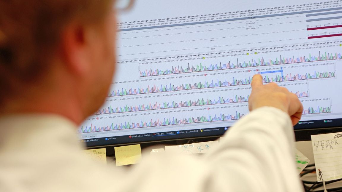 Analysiert wurde das
