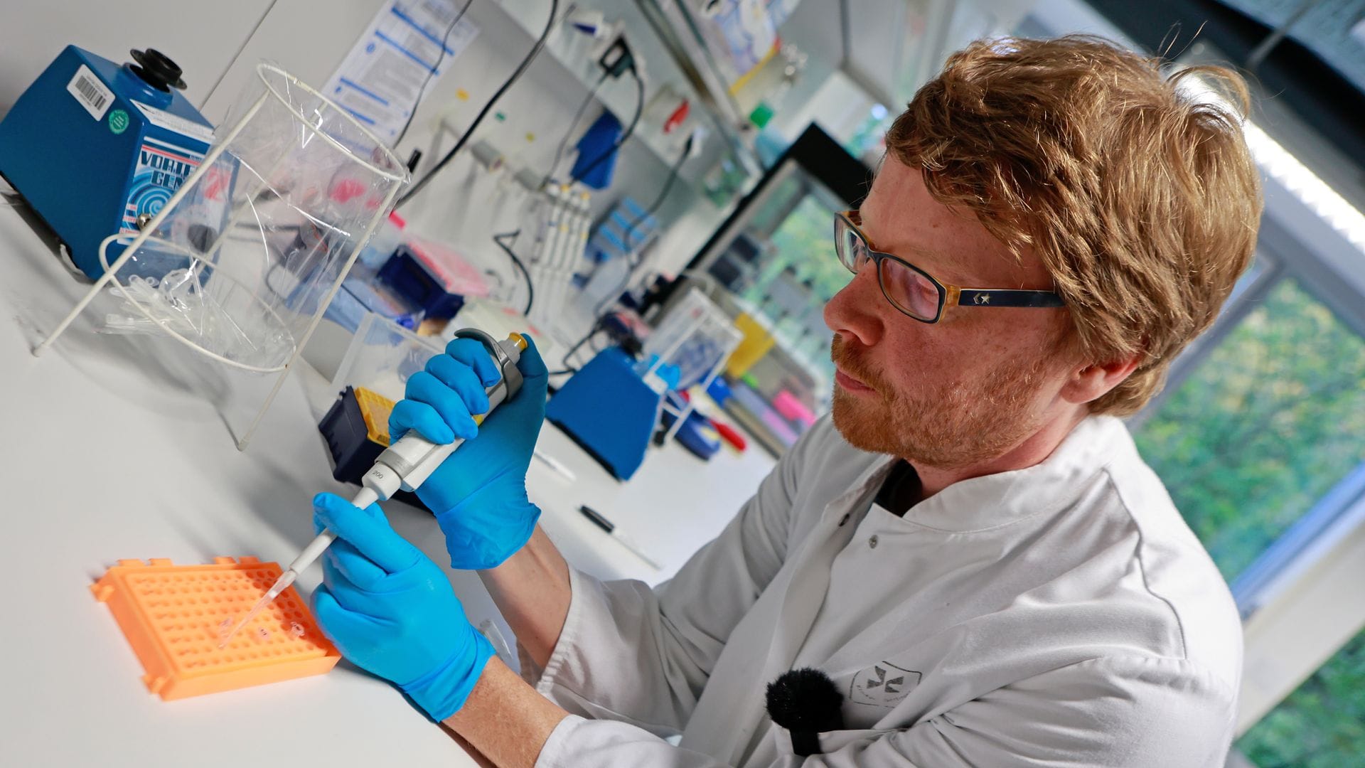 Die DNA-Analyse hat