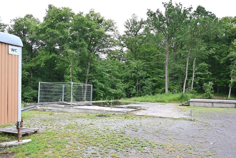 Bevor die Blockhütte auf dem Betonfundament ihrer abgebrannten Vorgängerin aufgebaut wird, müssen im Umkreis von 30 Metern 15 Bäume gefällt und das dokumentiert werden. Bild: Reichert