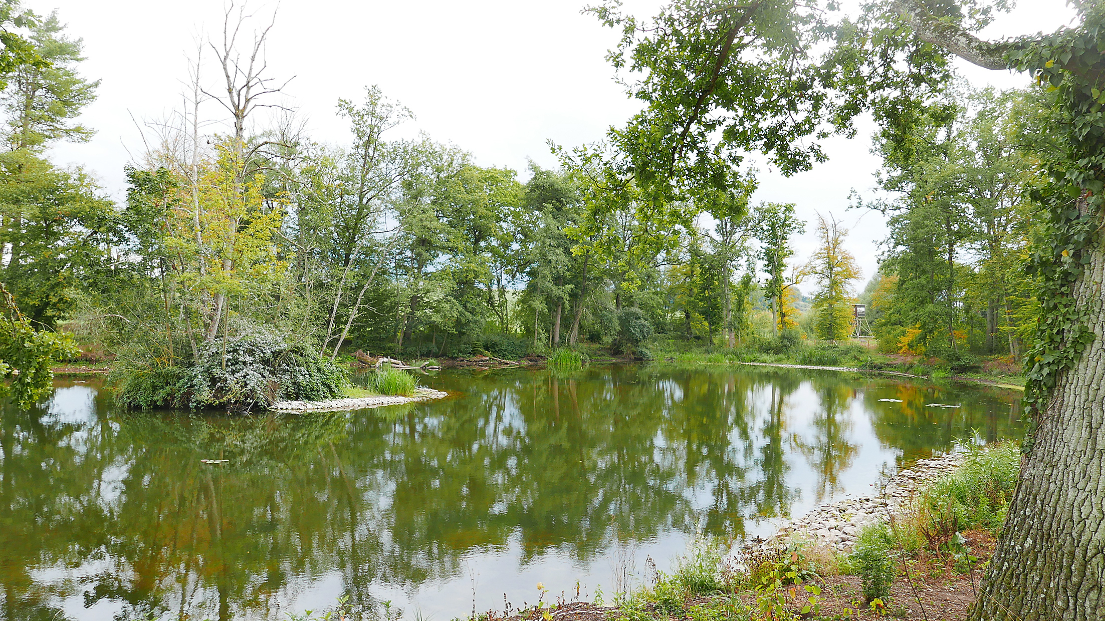 Der Maurener See ist wieder eine Idylle. Bild: Jung