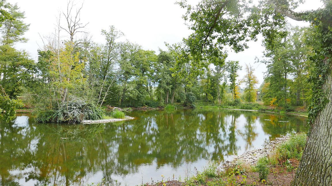 Der Maurener See ist wieder eine Idylle. Bild: Jung