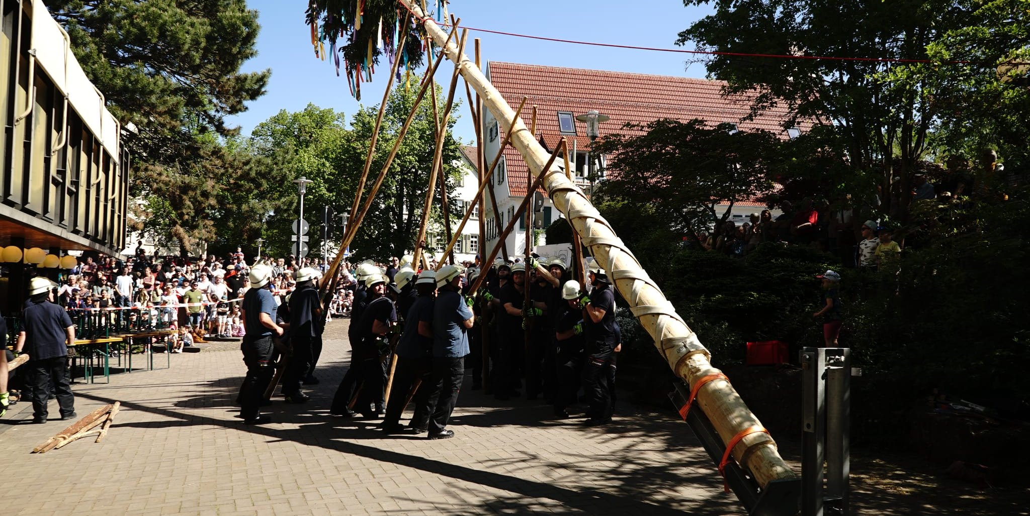 Mit Musikelkraft stemmte die Maichinger Feuerwehr den Jubiläums-Maibaum in die Senkrechte.