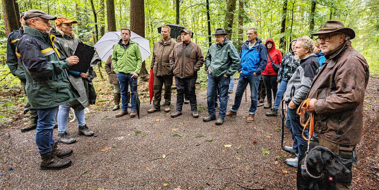 Waldbegang bei regnerischem Wetter in Aidlingen. Links Revierförster Thomas Widmayer. Daneben mit Kappe Bürgermeisterin Helena Österle.
Bild: Richter